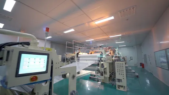 China Industrial Hot Sellling Optical Mylar Stretch Insulation Pet Polyester Film (CY20SH/DH) 